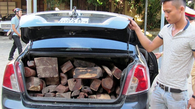 Xe chở 700 kg gỗ trắc lậu bị bắt giữ.