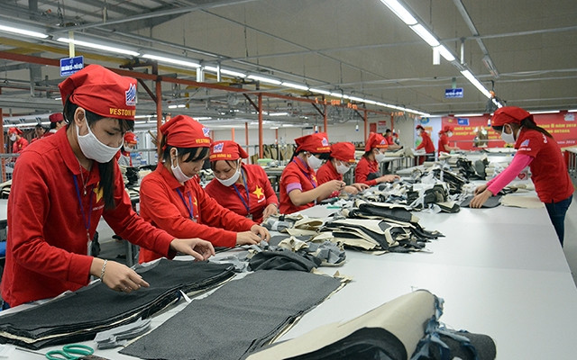 Ảnh minh họa: Duy Linh.