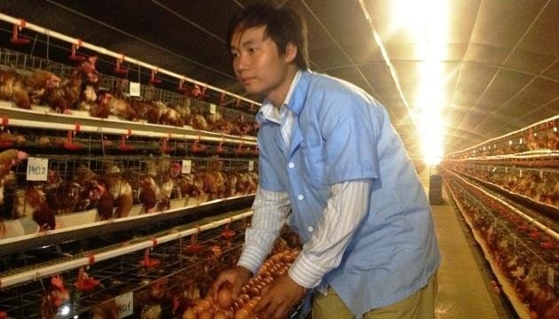 “Cử nhân gà” Thiên Ân bên đàn gà của mình.