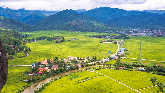 Khung cảnh cánh đồng Mường Tấc mùa lúa chín nhìn từ trên cao.
