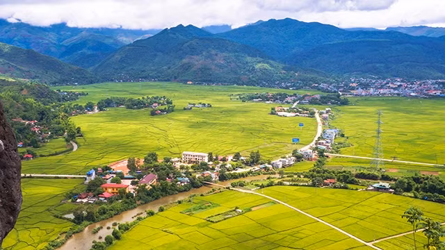 Khung cảnh cánh đồng Mường Tấc mùa lúa chín nhìn từ trên cao.