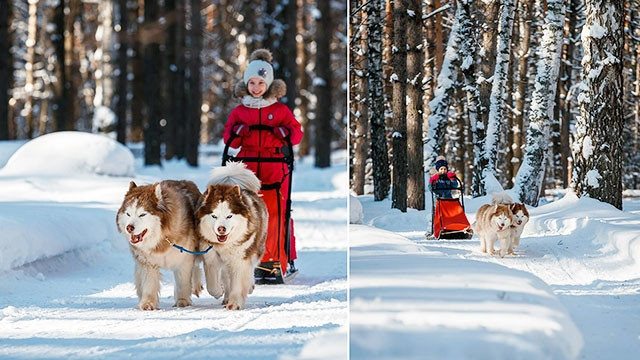 Trẻ em tập luyện với những chú chó. Ảnh: TASS