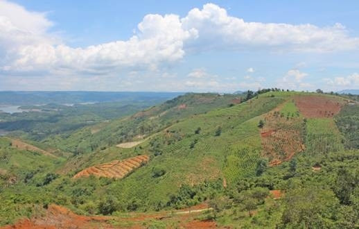 Một góc rừng ở huyện Đắk Glong, tỉnh Đắk Nông.