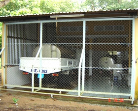 Người nuôi bò ở đồng bằng sông Cửu Long điêu đứng