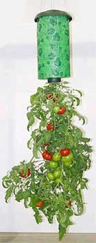 Những phát minh độc đáo năm 2005