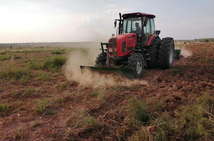 TTC Sugar đã tiến hành mở rộng diện tích trồng mía giống trên quy mô 150 hecta tại tỉnh Kratie, Campuchia.