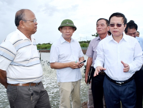 Phó Chủ tịch Quốc hội Phùng Quốc Hiển (bìa phải) thực tế mô hình sản xuất của hộ dân ở xã Tân Dân.