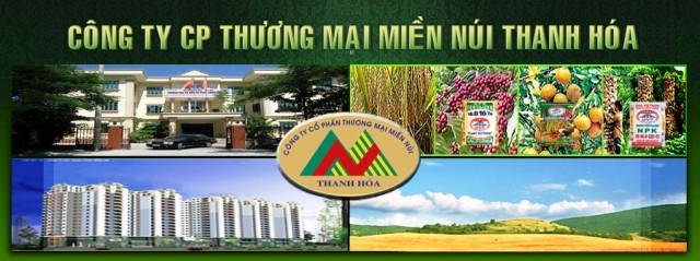 Đấu giá lô 1,3 triệu cổ phần Thương mại Miền núi Thanh Hóa