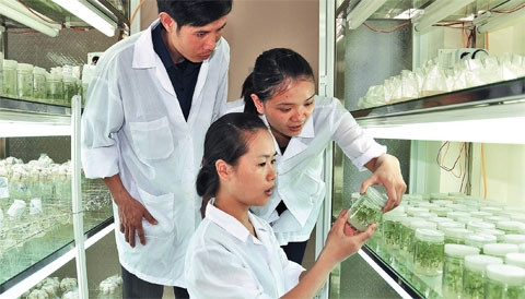 Nếu có khả năng và tấm lòng, dù ở đâu, làm gì, người Việt Nam cũng có thể cống hiến cho Tổ quốc. Ảnh: NGUYỄN KHÔI