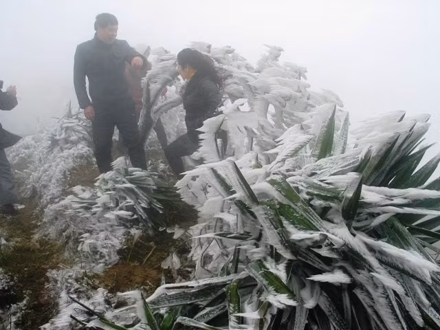 Mẫu Sơn lại chìm trong băng giá