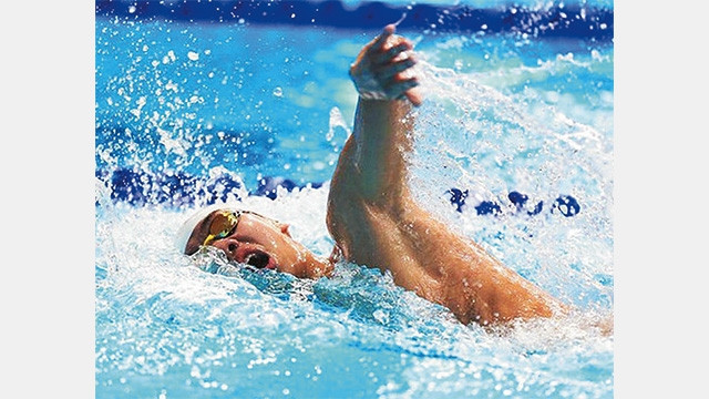 Chuyện cổ tích của “rái cá” sông Gianh