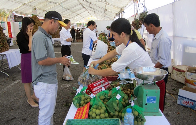 Hoạt động xúc tiến thương mại tại lễ hội tôn vinh nhãn lồng Hưng Yên năm 2017.