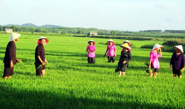 Tập luyện tiết mục hò khoan trong lao động, sản xuất tại huyện Lệ Thủy (Quảng Bình).