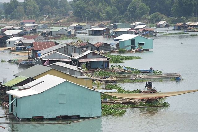 Làng cá bè trên sông La Ngà, đoạn gần cầu La Ngà.