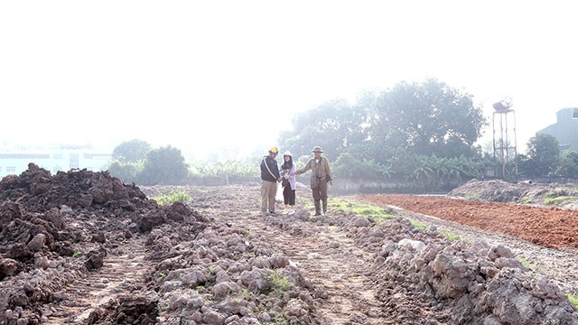Người dân thôn Lai Xá nhặt những mảnh gốm cổ sót lại trên gò Mỏ Phượng vừa bị san lấp. 