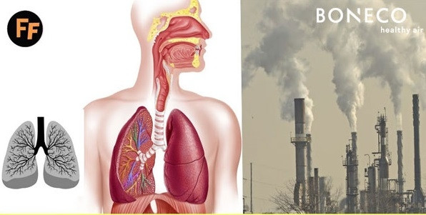 Ô nhiễm không khí "giết người thầm lặng" như thế nào