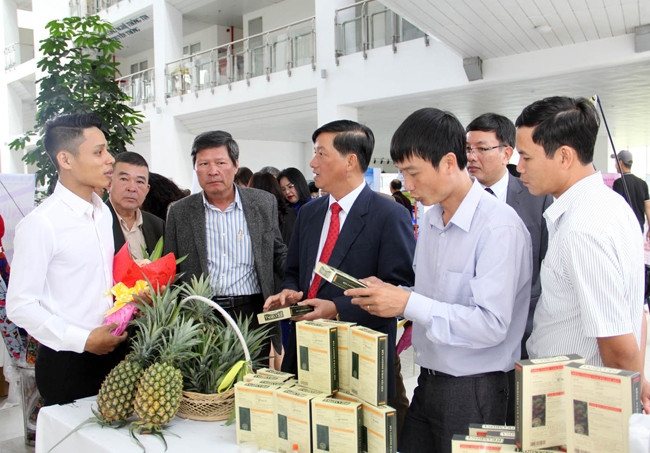 Đại biểu tham quan các gian hàng triển lãm.