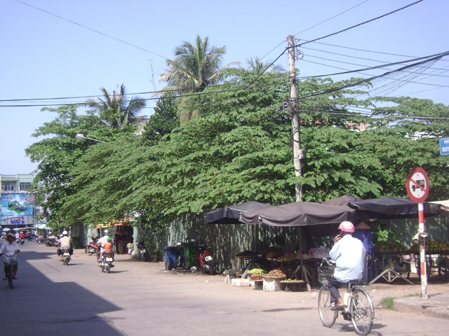 Khu Trung tâm thương mại dịch vụ Nghi Xuân (Đồng Tháp) vẫn "treo" do vướng mắc trong đền bù, giải phóng mặt bằng.