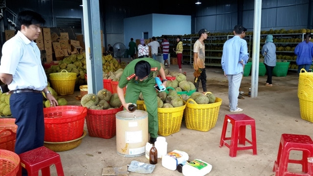 Sầu riêng và hóa chất cấm bị lực lượng chức năng phát hiện tại Công ty Nghiệp Xuân.