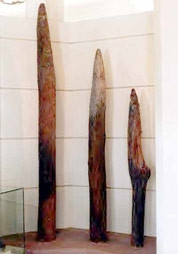 Những chiếc cọc mới được
phát hiện.