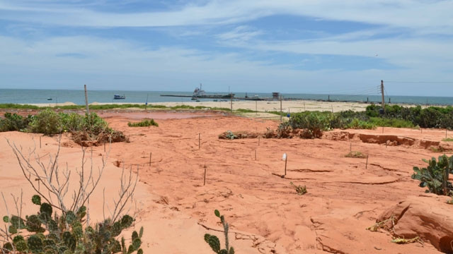 Khu vực cát tràn lấp chảy xuống biển, nhiều ngôi mộ bị vùi lấp hoàn toàn được xác định vị trí bằng cắm cọc .