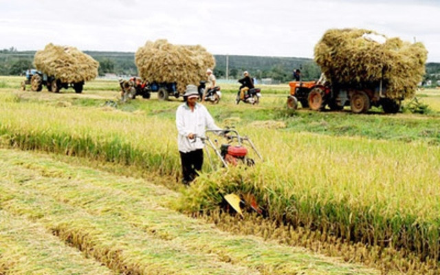 Năm 2018, GDP nông - lâm - thủy sản cao nhất trong bảy năm qua. (Ảnh: internet)