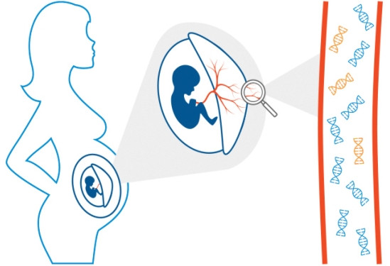 Cập nhật nhiều kiến thức mới trong tư vấn di truyền sinh sản