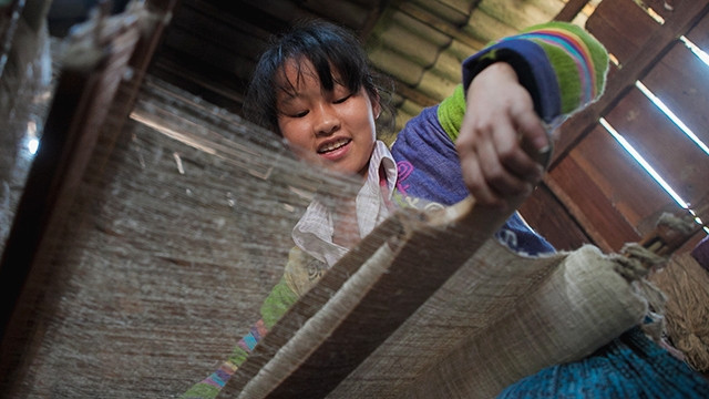 Sản xuất lanh tại Lùng Tám.