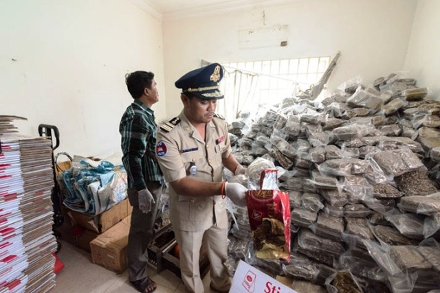 Cần sa thu giữ được trong cuộc đột kích vào nơi tàng trữ. (Ảnh: Thời báo Khmer).
