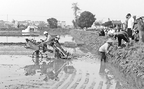 Nông dân xã Duyên Thái, huyện Thường Tín (Hà Nội) áp dụng khoa học kỹ thuật, cơ giới hóa trong sản xuất nông nghiệp. Ảnh: VĂN DUY