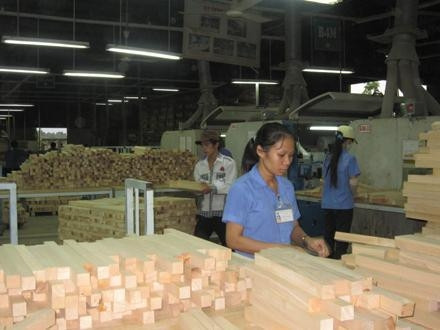 Công nhân Công ty TNHH Phát Triển (Bình Dương) chế biến gỗ thành phẩm.