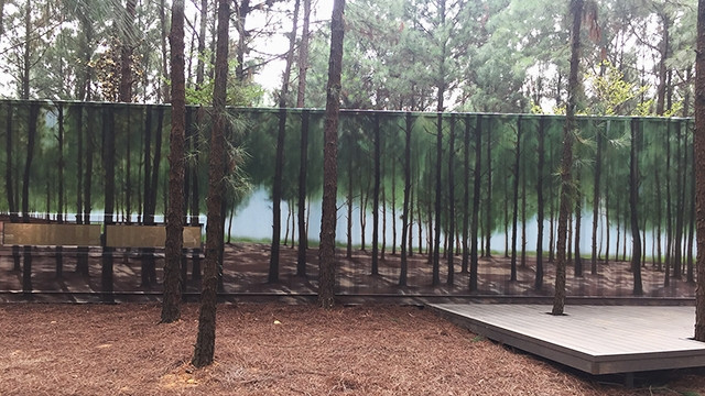 Cây thật và cây hội họa trong tác phẩm “Rừng thông” của Trịnh Minh Tiến (vẽ trên vỏ công-ten-nơ).