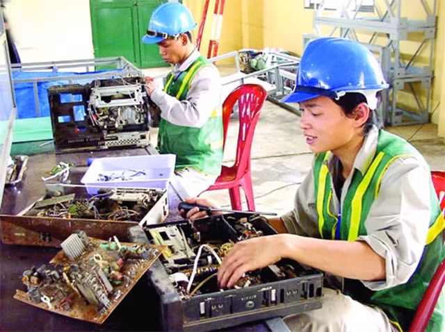 Phân loại rác thải rắn trước khi xử lý tại Nhà máy rác thải Nam Sơn, huyện Sóc Sơn (Hà Nội).