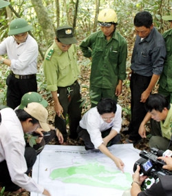 Giao rừng thực địa cho cộng đồng ở xã biên giới Trường Sơn, huyện Quảng Ninh (Quảng Bình).