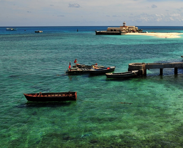 Rạn san hô đảo Đá Tây, huyện Trường Sa (Khánh Hòa).