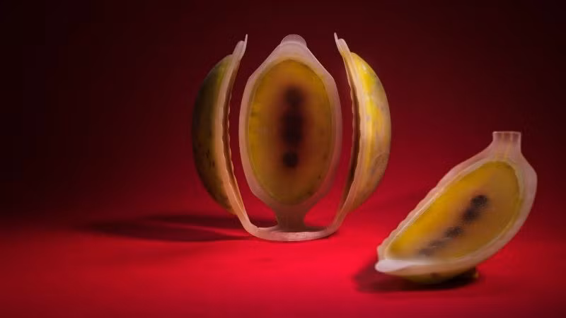 Trái cây nhân tạo ăn được in bằng công nghệ 4D