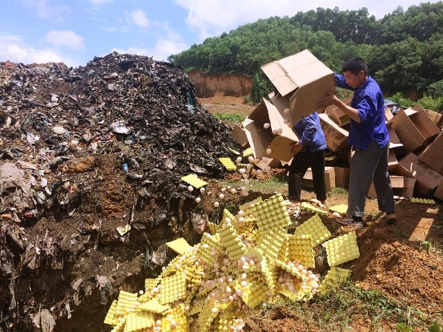 Tiêu hủy hơn 100 nghìn quả trứng gà không rõ nguồn gốc