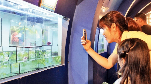 Người dân tham quan triển lãm cá cảnh lần thứ ba năm 2018.