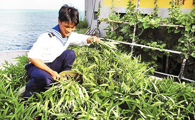 Chiến sĩ Trường Sa chăm sóc vườn rau xanh.