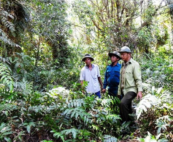 Tuần tra, bảo vệ rừng ở VQG U Minh hạ.