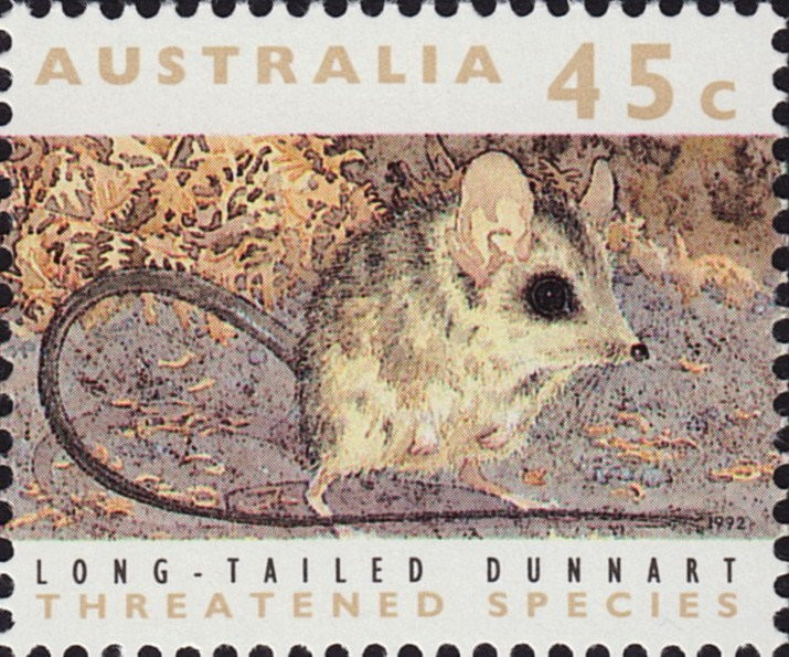Chuột đuôi dài đã được in hình trên tem bưu chính của Australia.