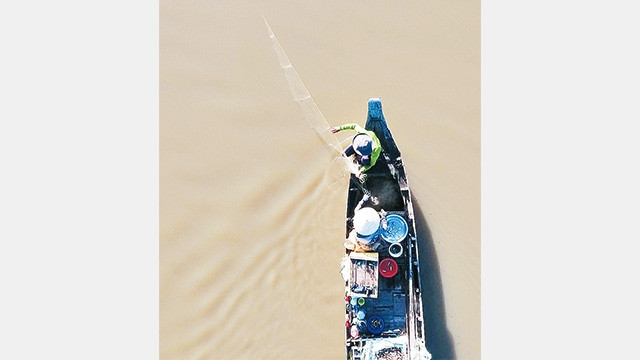 Giăng lưới cá đồng trong mùa nước nổi.