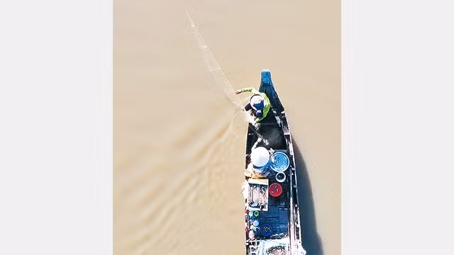 Giăng lưới cá đồng trong mùa nước nổi.