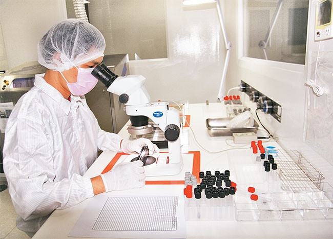 Kỹ sư của Công ty USM Healthcare (khu công nghệ cao, quận 9) kiểm tra sản phẩm thông tin mạch bên dây chuyền sản xuất trong điều kiện vô trùng.
