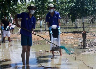 Sinh viên tình nguyện “mùa hè xanh” cùng nhau dọn xác chuột..