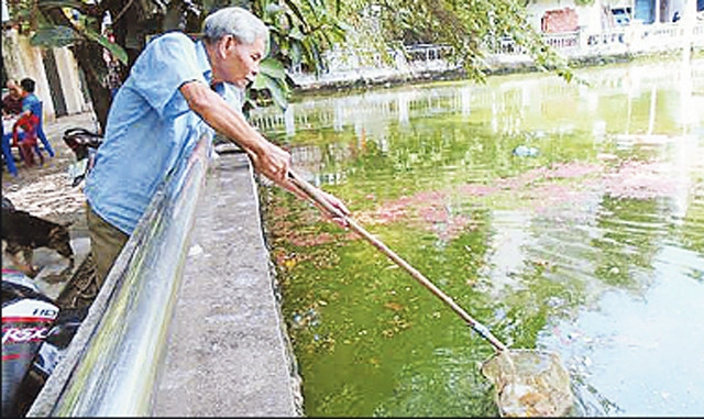 Ông Đỗ Sáng Luyện cần mẫn với công việc làm sạch môi trường.