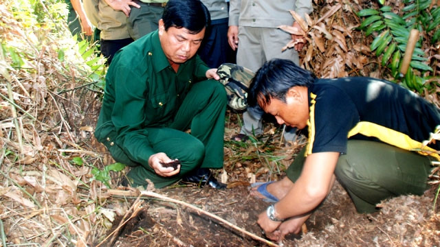 Chủ tịch UBND tỉnh Cà Mau (bìa trái) kiểm tra mức độ khô hạn rừng tràm.