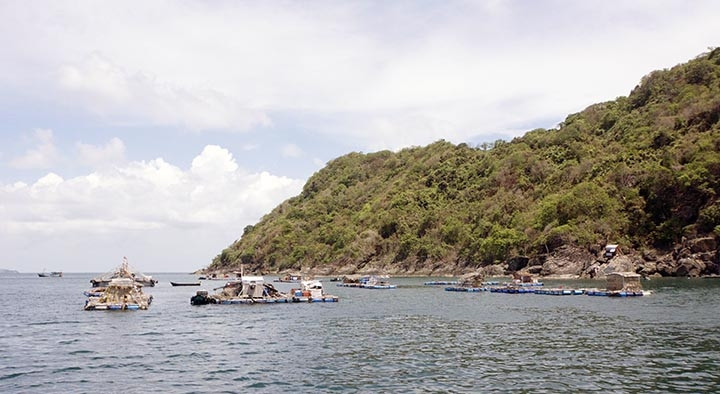 Một góc đảo Hòn Chuối. Ảnh: PHƯƠNG BẰNG