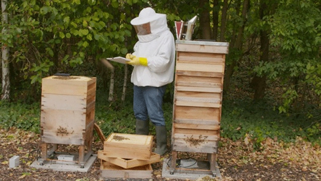 Ảnh: DATA CENTRE REVIEW