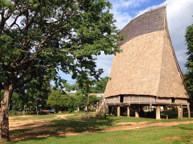 Vẻ đẹp đại ngàn.